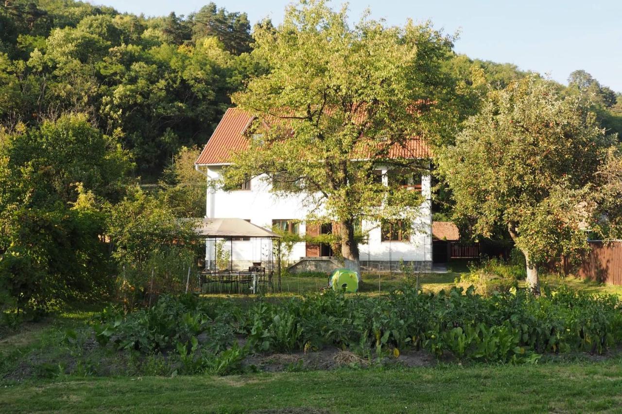 Casa Bucataria Fonix Hotel Praid Eksteriør billede