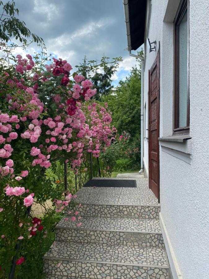 Casa Bucataria Fonix Hotel Praid Eksteriør billede
