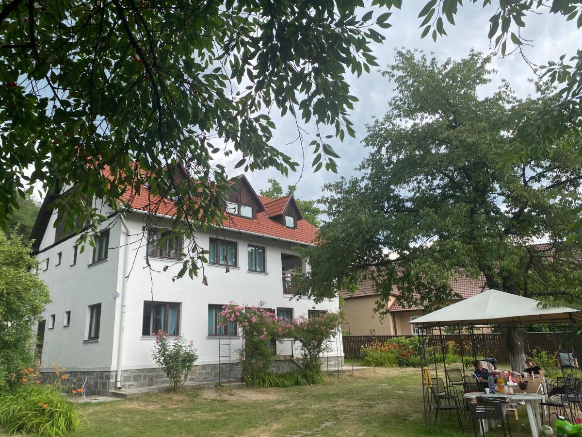 Casa Bucataria Fonix Hotel Praid Eksteriør billede